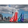 DONGFENG WINT HAVENRACE AUCKLAND