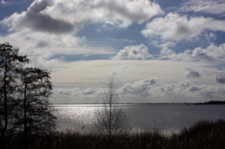 Tjeukermeer%20vanaf%20Uilesprong