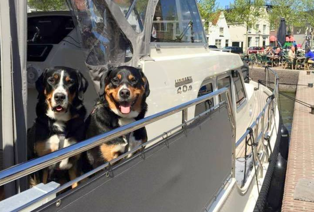 HOND-VRIENDELIJKSTE HAVEN VAN NEDERLAND