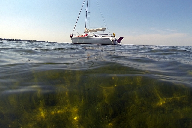 CATAMARANZEILER DIENT KLACHT IN OVER WATERPLANTEN