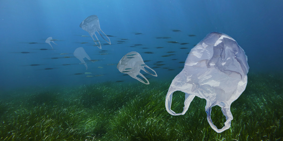 ONDERZOEK AFBRAAK PLASTIC DOOR MICRO-ORGANISMEN IN OCEANEN