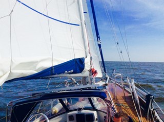 24307059928_f4b76c926b_o