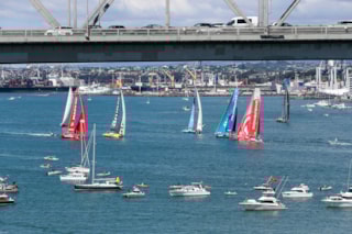 Auckland haven 2