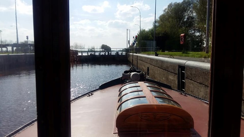 31891051_10156219780182881_5582618754996502528_n