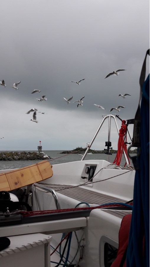 ZEILJACHT INGELING OP EILAND DE KREUPEL