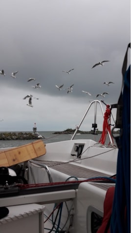 CD8CE1B510B549C9B2CD3B4C7F78B116