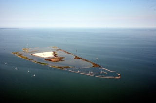 VOGELEILAND De Kreupel Andijk IMG_8501