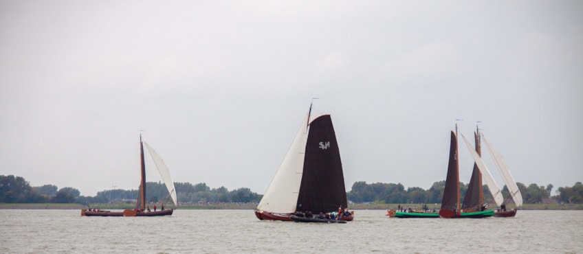 SWH op weg naar finish