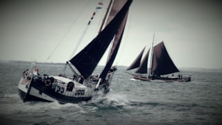 42872958_2615564868457352_6605517683859390464_o