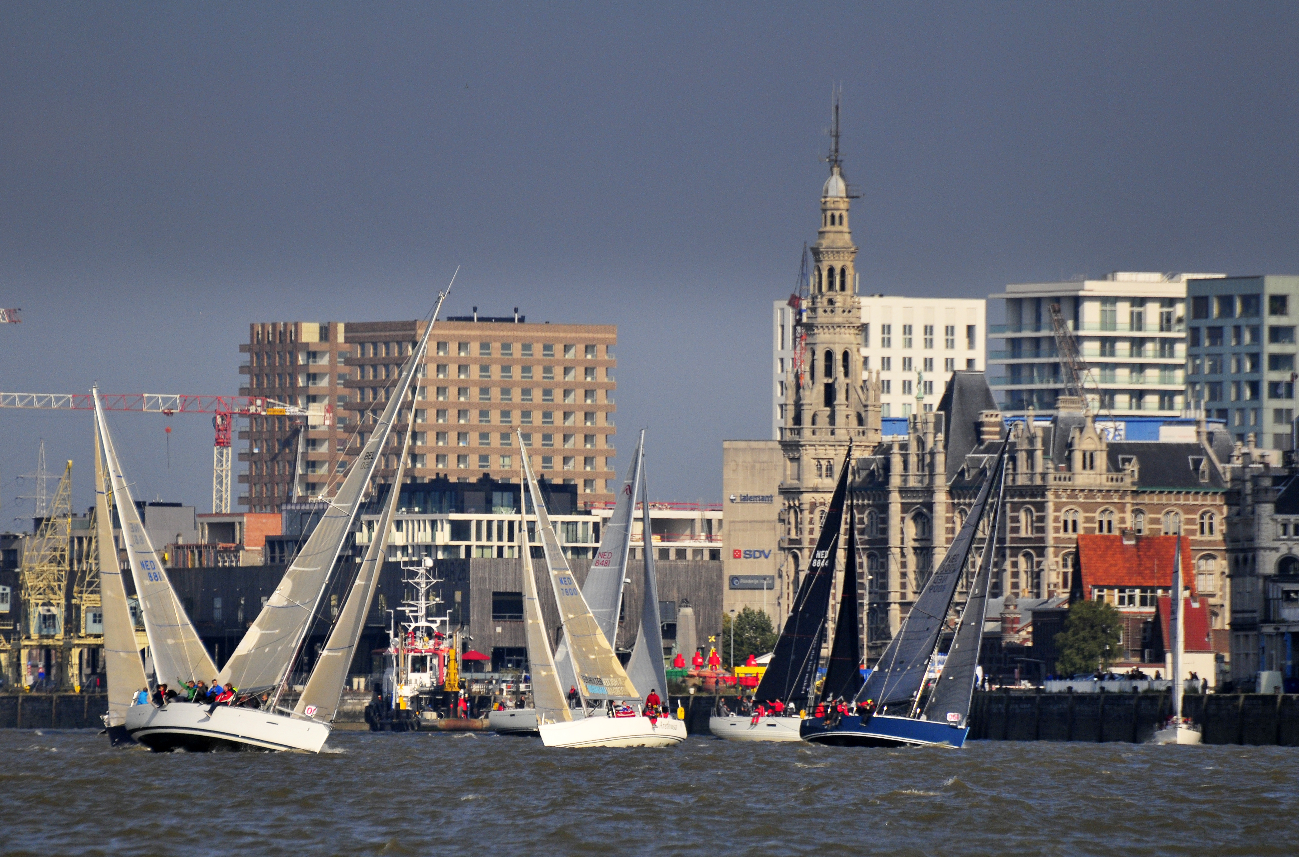 HET ZEILFEEST VAN DE SCHELDE