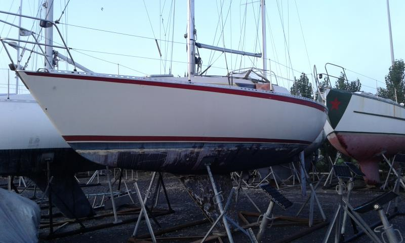 WEESBOTEN ONDER DE HAMER