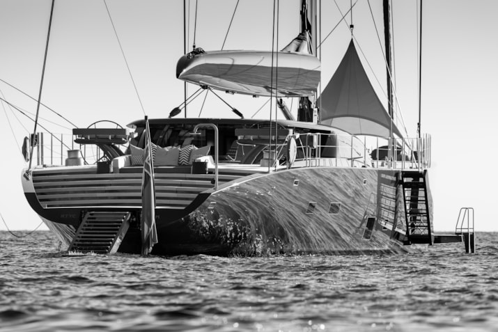 398-NGONI-41hull-Breedmedia29964