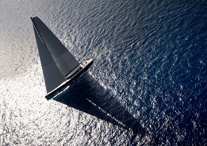 398-NGONI-31-Breedmedia20502