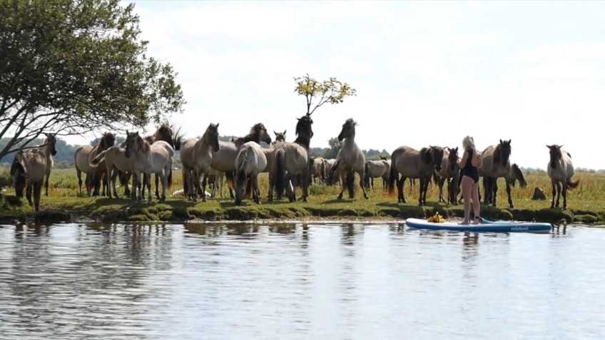 Mijn nieuwe videoproject18.jpg 20