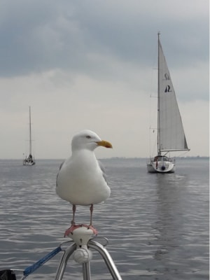 0D68E74304FE4AC79D4F9620F34152F2