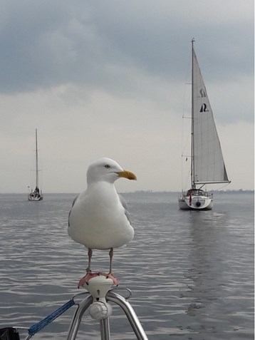 0D68E74304FE4AC79D4F9620F34152F2