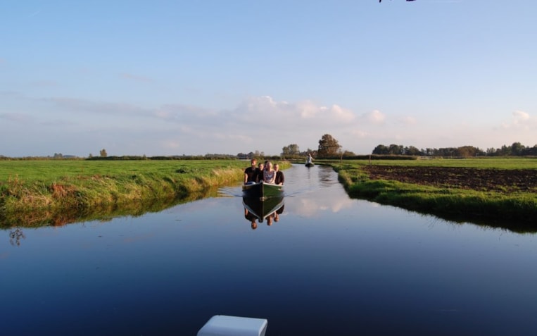 fluistervaren-LR-1080x675