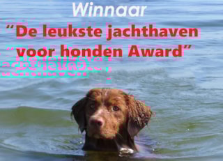 winnaar