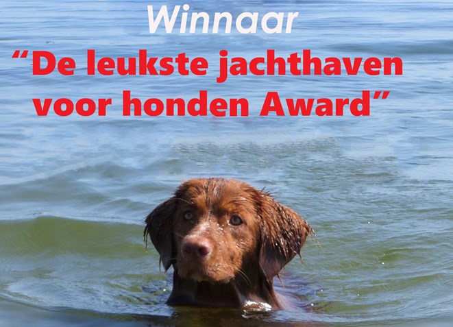 winnaar