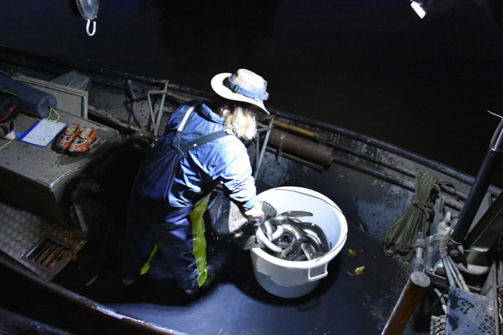Maarten Stuurman In alle vroegte brengt visser Freerk Visserman in Heeg de paling aan boord van de aak