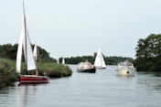 STOCK varen in Friesland