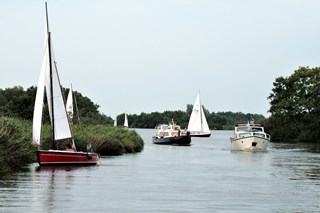 STOCK varen in Friesland