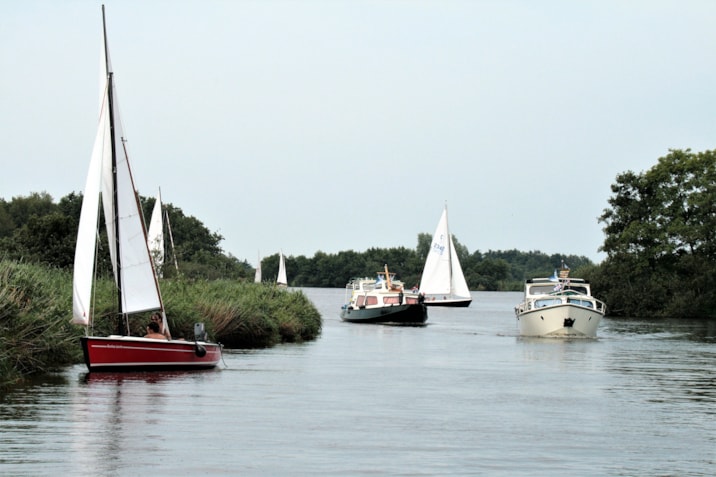 STOCK varen in Friesland