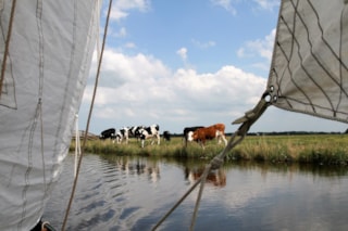 STOCK Vrijheid op het water