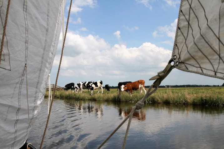 STOCK Vrijheid op het water