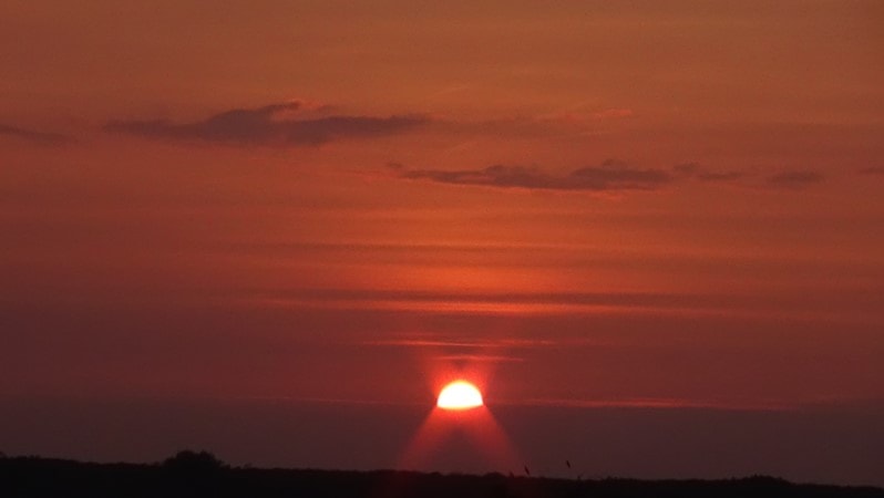 D32D4A17D4FB4015A547CA40D539AA4B