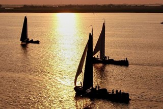 66504246_430491937552702_1949191954518623338_n