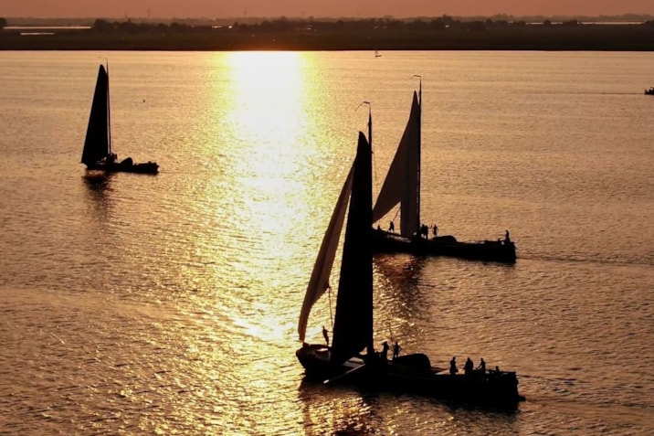 66504246_430491937552702_1949191954518623338_n