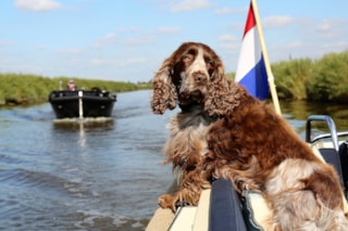 21765407_10155130827993031_7581238322054769469_o