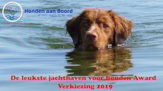 Beginfoto video Award 2019 honden aan boord.nl