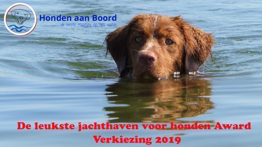 Beginfoto video Award 2019 honden aan boord.nl