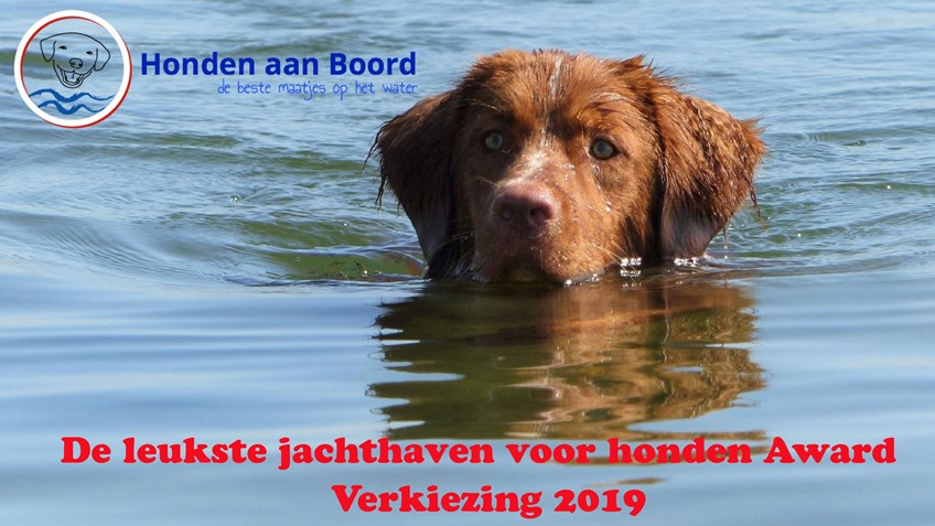 Beginfoto video Award 2019 honden aan boord.nl