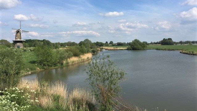 KINGFISHER ONTDEKT DE LINGE