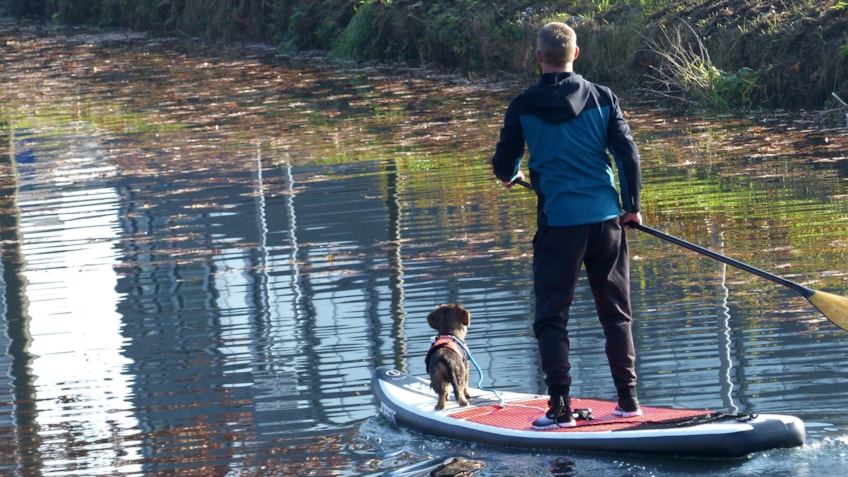 SUP teckeltje zwemvest