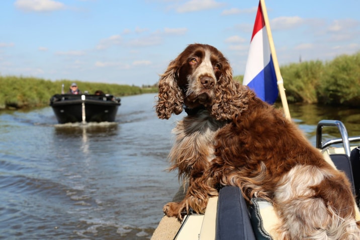 21765407_10155130827993031_7581238322054769469_o