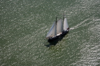 1294269_10151714578908031_1084824627_o