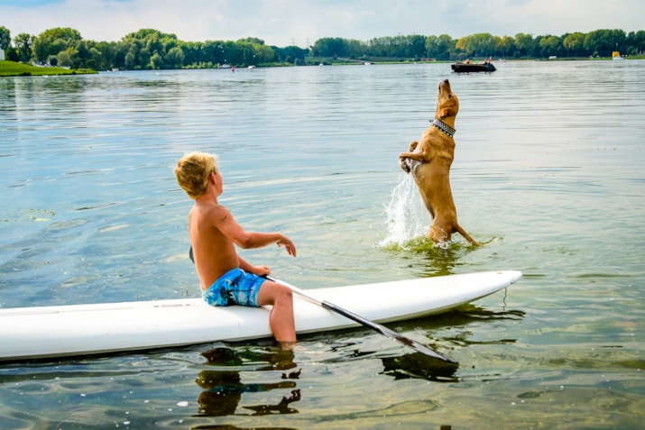 2017_09_VVV_ChillenAanHetWater-47_A4