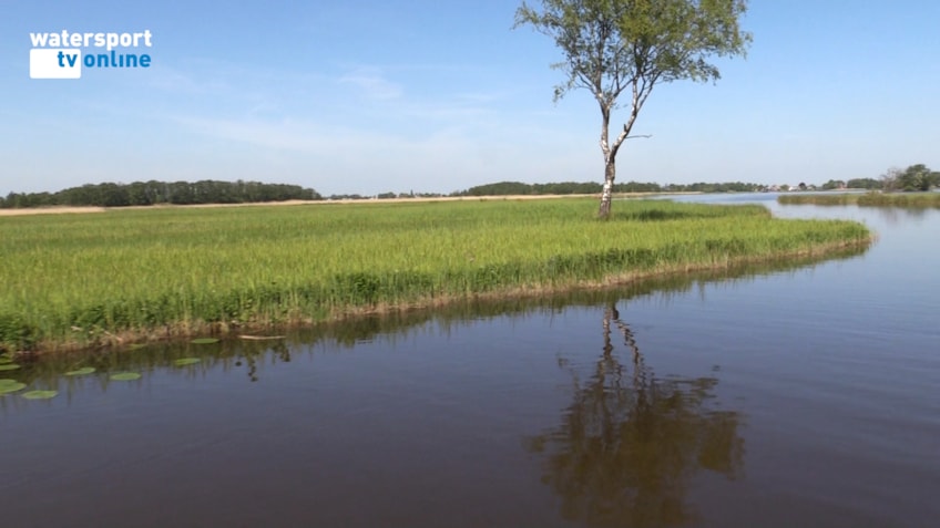 DE WOERDENSE VERLAAT 8