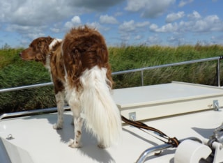 AF1QipOjtiwpyCpwRK1lUEFSFENJzIJwTavhlxjBPsiS=w3040-h2217