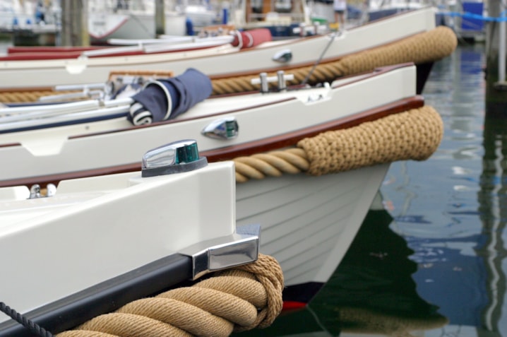 12885810_10153645011623031_2341838462575007259_o