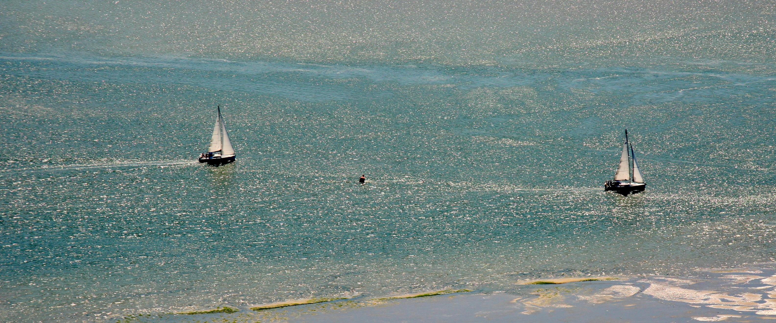 DE HAVENGIDS ZET DELTAGIDS VOORT