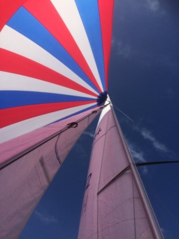 75a603b8-7cc7-4e17-9d47-19726038a3a4_500