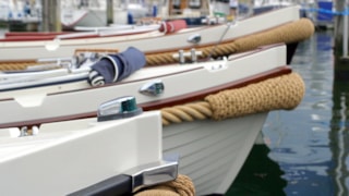 12885810_10153645011623031_2341838462575007259_o (2)