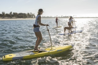 Eclipse-action-bay-girls-dog-sunny-4boards-1026-full_jpg_1600x1600__generated