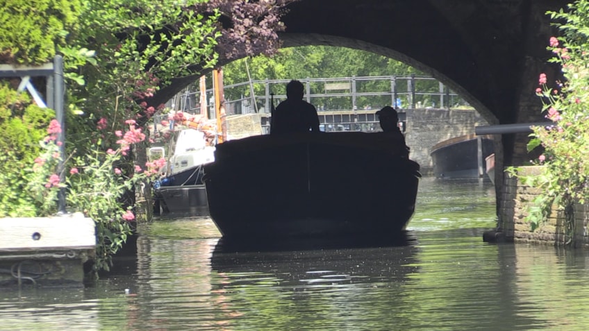 De Gier Vulture Admire 735.jpg 11