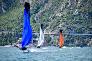 CE88879D-718B-4DD0-9DA0-2C2310D0284E